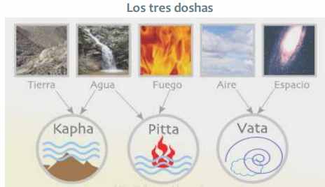 doshas